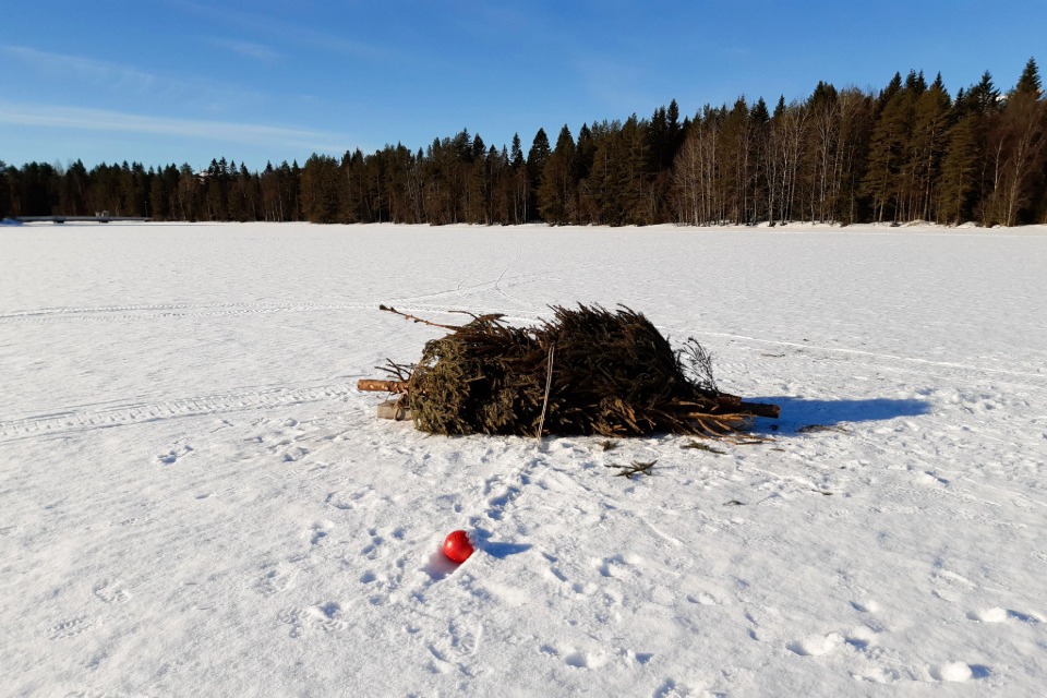 En risvase ligger på snötäckt is på en sjö.