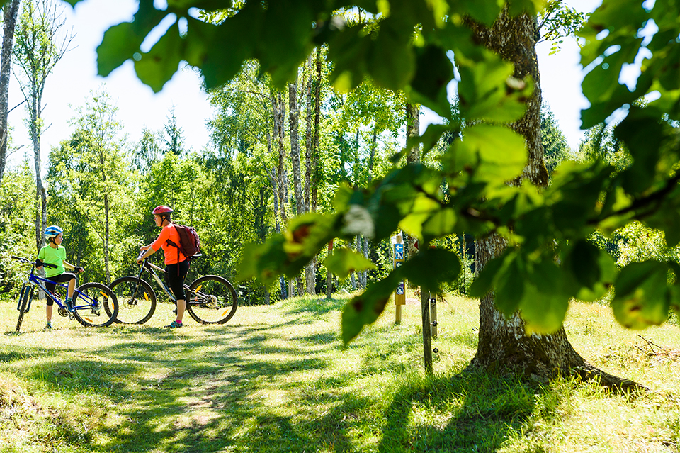 Barn och vuxen på cykel i naturen med löv i förgrunden.