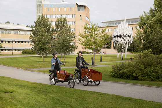lådcyklar, cykelväg, två personer cyklar, grön gräsmatta