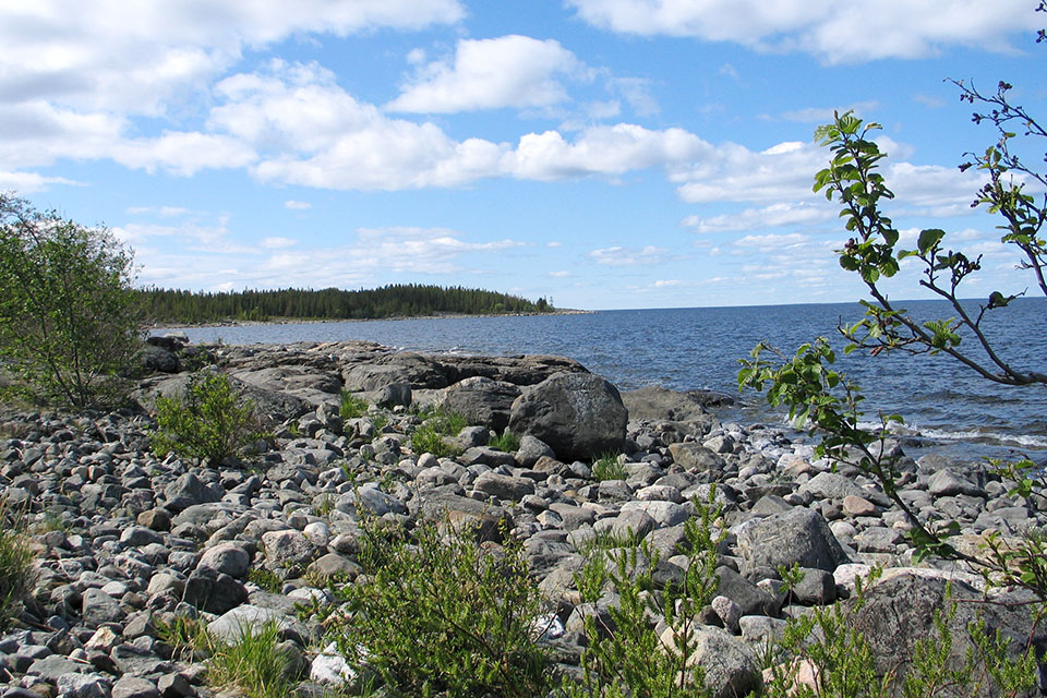 Stenig strandkant på Holmön.