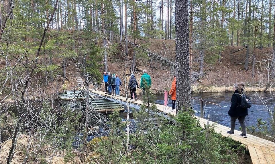Flera personer går på spångar i skog.
