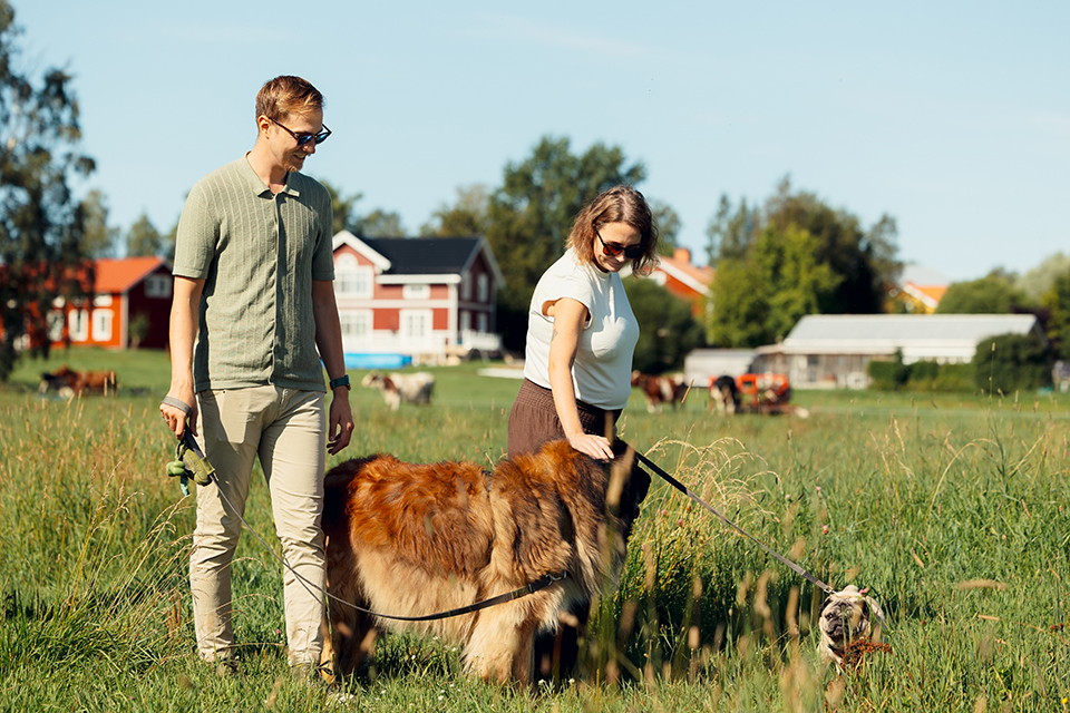 Family walking their dog i Röbäck, Umeå.