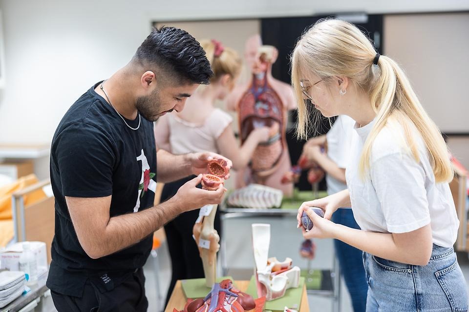 Ange alt-text; vad bilder föreställer.