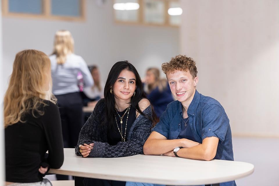 Ange alt-text; vad bilder föreställer.