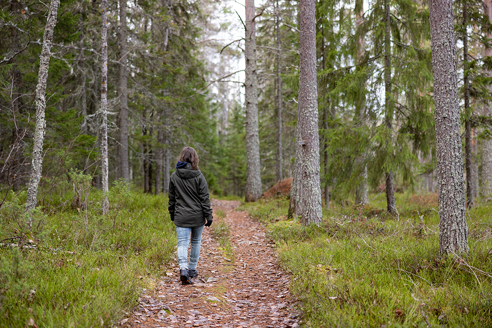 En person går bortåt längs med en bred stig i en skog.