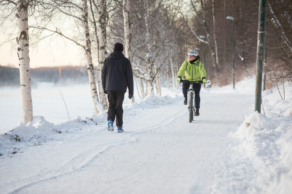 Vintercyklister i Umeå centrum.