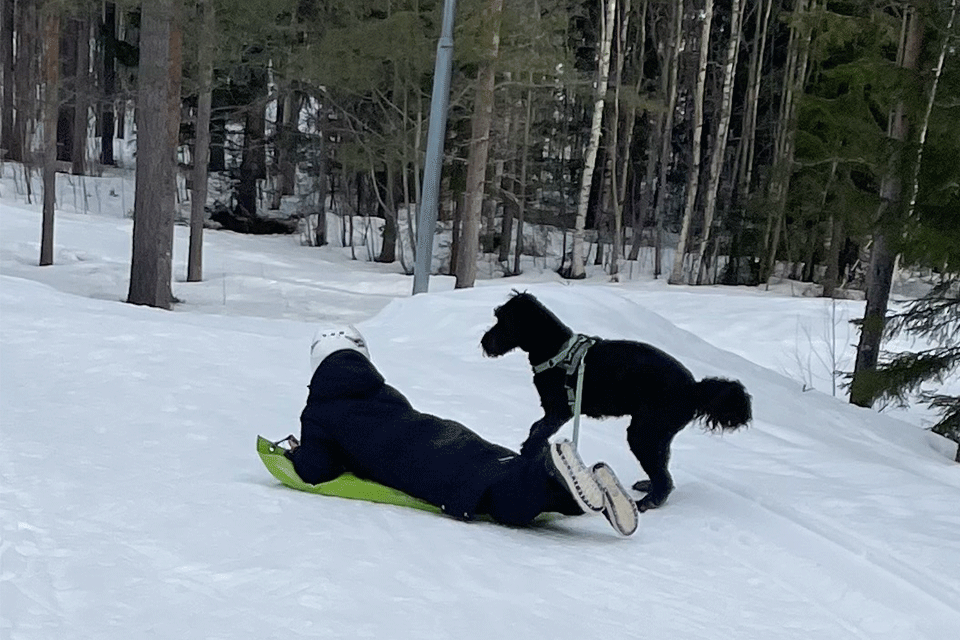 Hunden Joni leker utomhus.