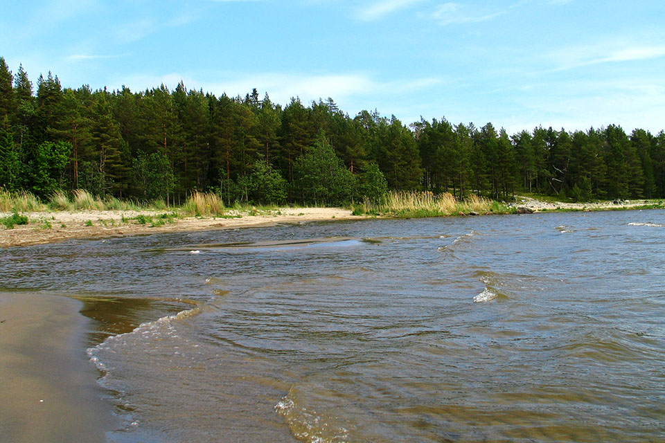 Vågor som slår in över strandkanten.