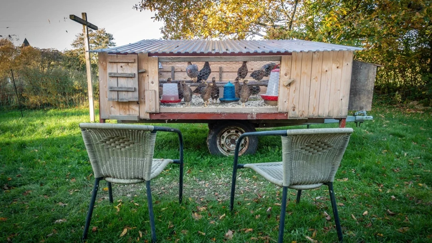 Image of Chook TV shows. The casual viewing set up of the new mobile chicken coop.