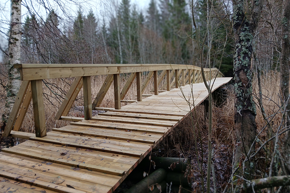 Träbro i naturområde