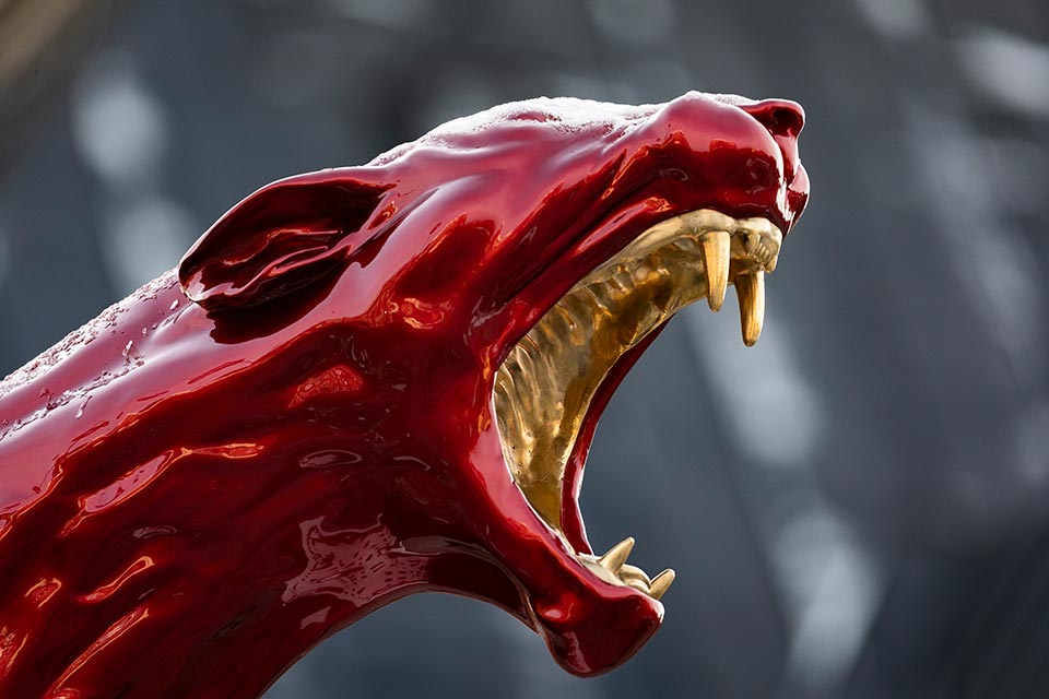 Listen. A piece of art by Camilla Akraka. The artwork depicts a roaring red cougar. 