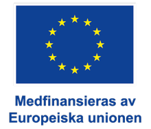 Ett flygplan