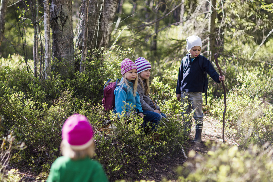 Barn i skogen