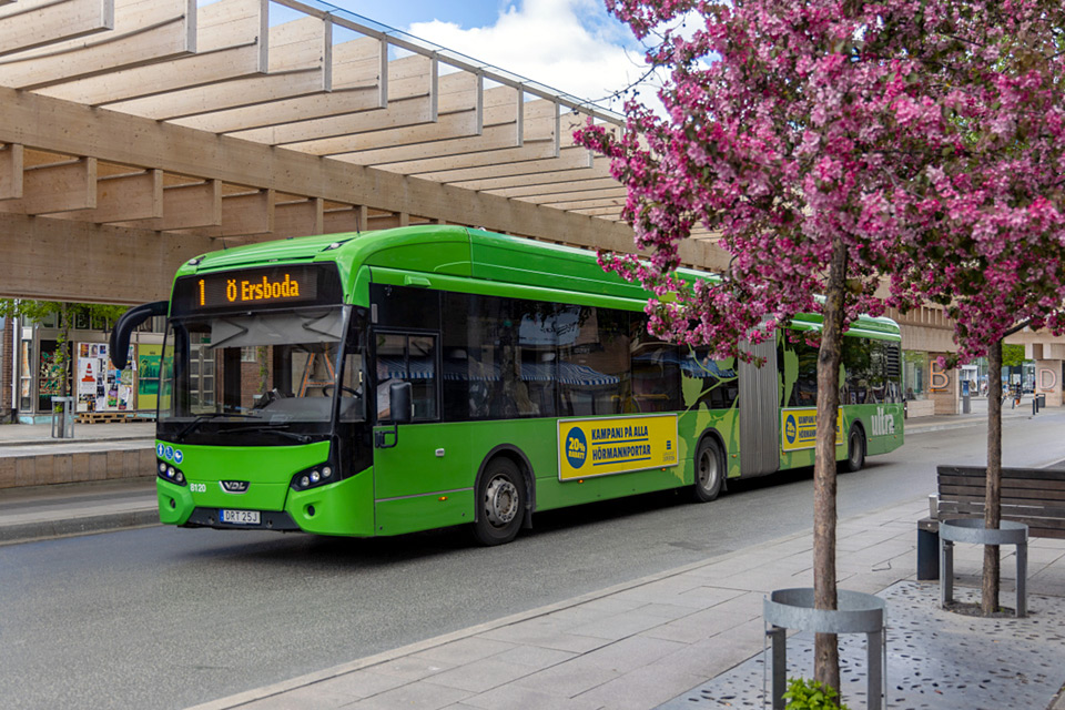 Grön buss på Vasaplan, Umeå