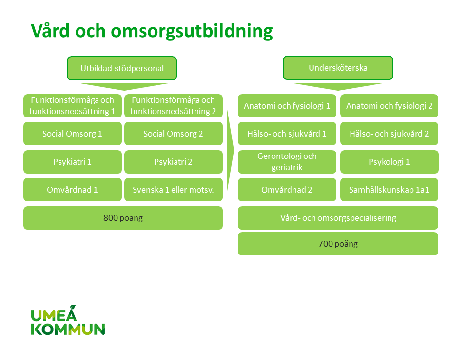 Schematisk bild över utbildning