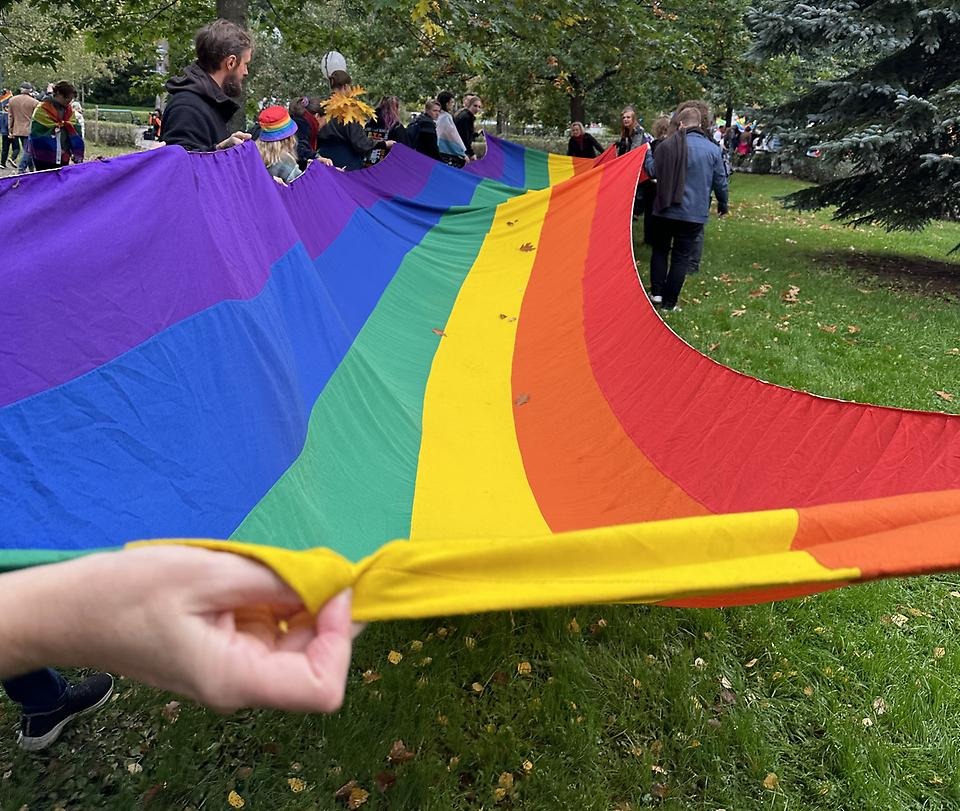 Ange alt-text; vad bilder föreställer.