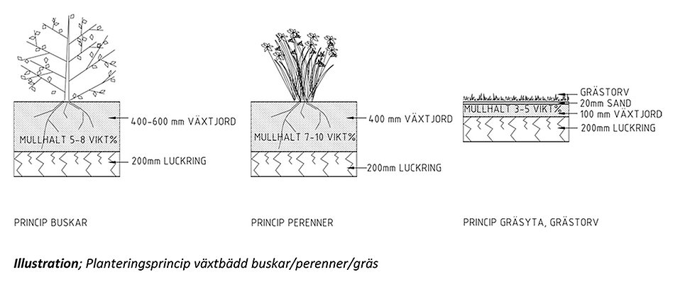 illustration av planteringsprinciper