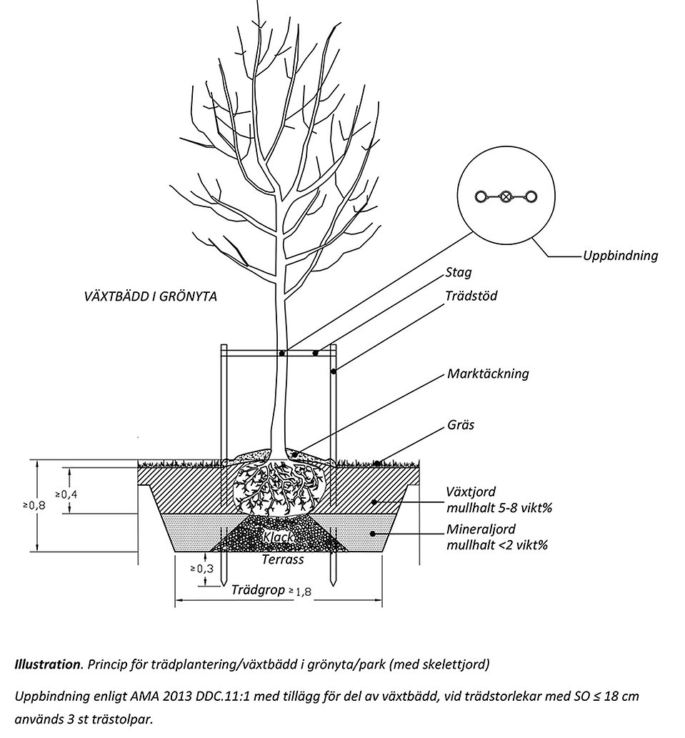 illustration princip för trädplantering