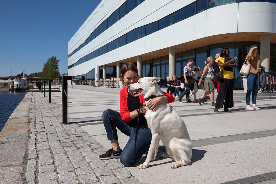 matte och hund sitter på kajen