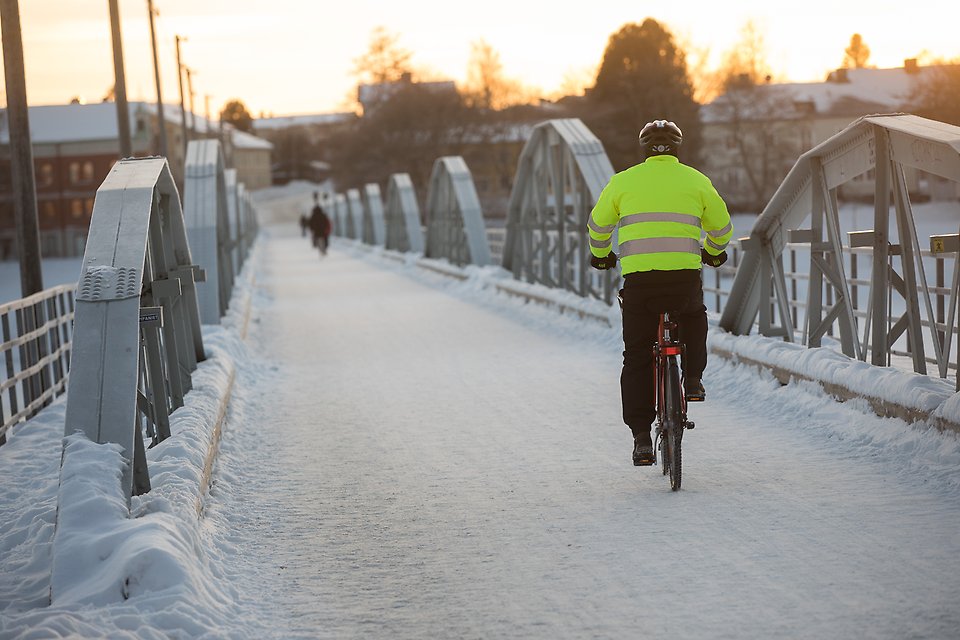 vinter, cyklister, snö, julgranar