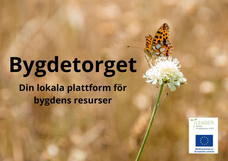 Bilden visar texten Bygdetorget