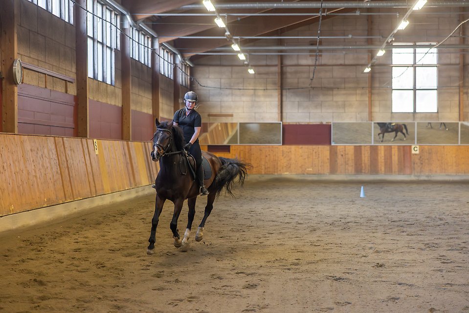 Ange alt-text; vad bilder föreställer.