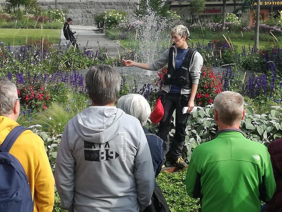 människor som går sommarblomsvandringen