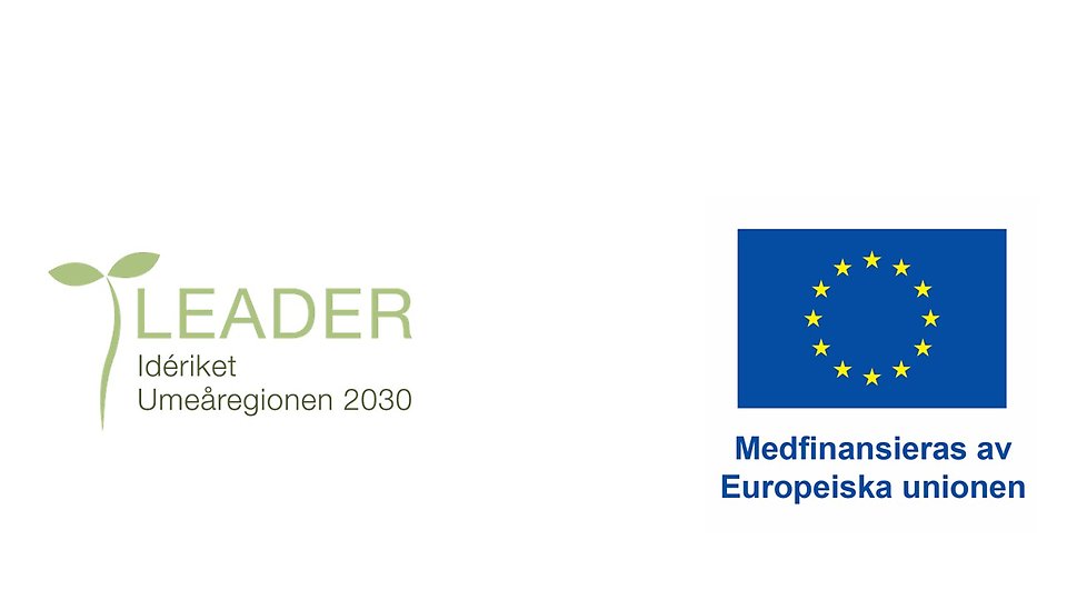 Logo för Leader Idérike2030 och Logo för EU med texten medfinansieras av europeiska unionen