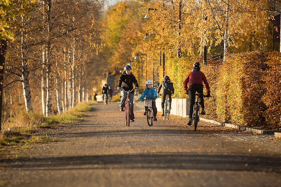 Barn och vuxna som cyklar på en cykelväg.