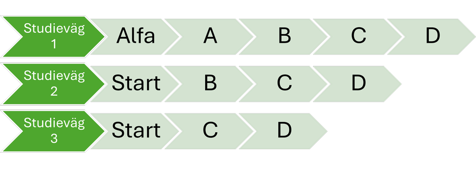 En bild som beskriver de olika studievägarna på SFI