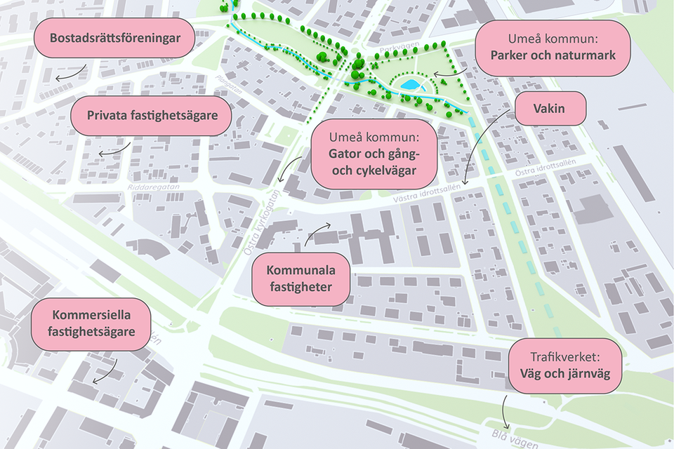 En karta som visar hur dagvattnet påverkar alla områden i Umeå