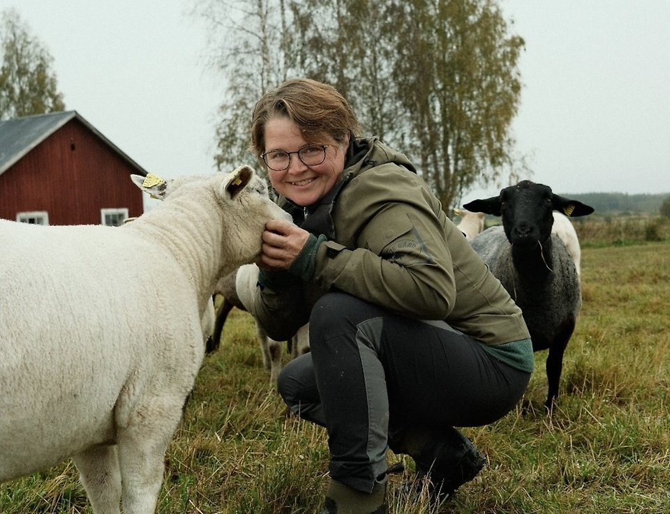 Ange alt-text; vad bilder föreställer.