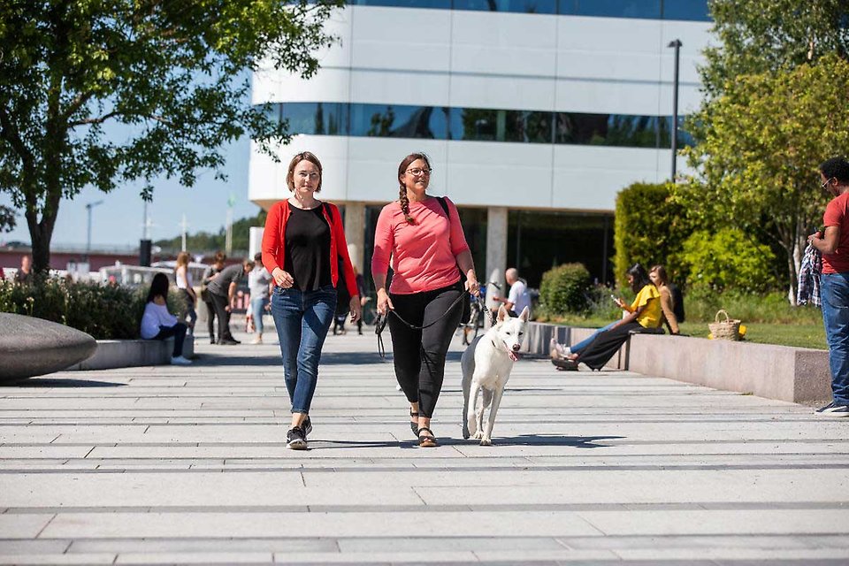 Två kvinnor och en hund som promenerar längs strandpromenaden nere vid Väven.