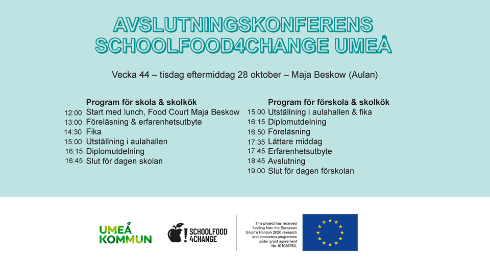 Program och hålltider för konferensen. Klicka på bilden för att ladda ner en pdf-version av programmet.